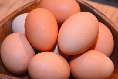 eggs recalled canada
2025